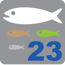 23_fish